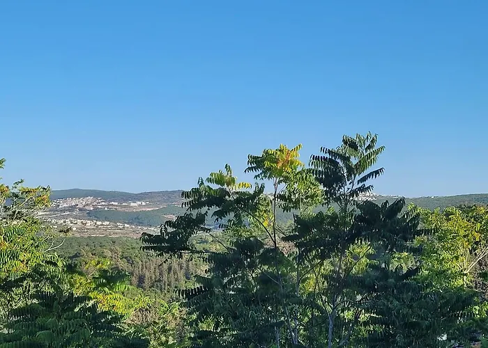 הבית באשכולות